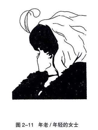 同一幅图像:年老的女士,还是年轻的女士?(原稿第 2 页)