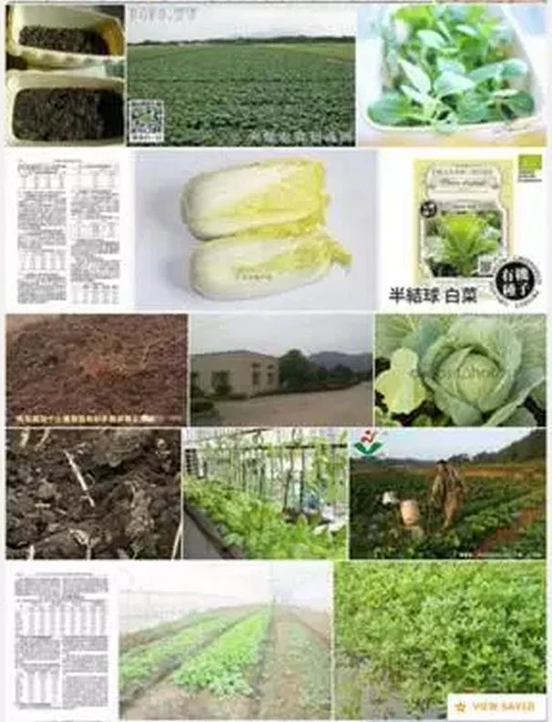 从津津有味的白菜到妙趣横生的乘法学习:原稿第8页原稿插图或图示