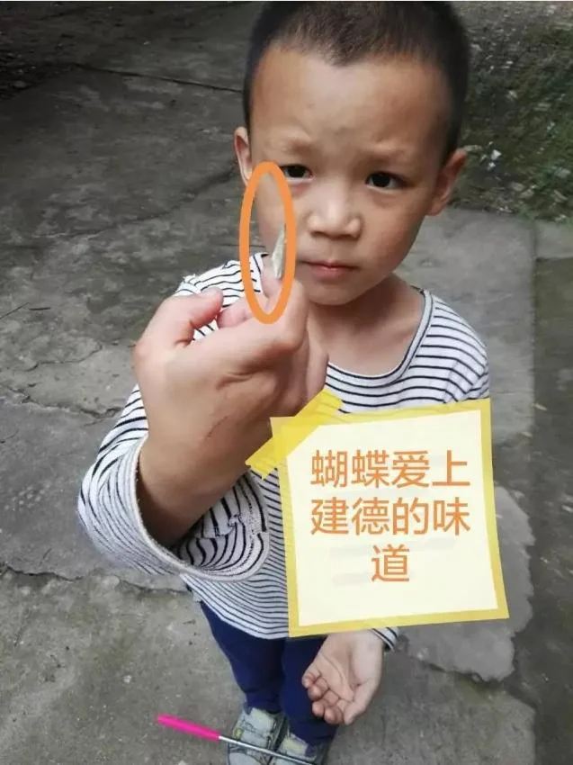 三视角为我人生导航:原稿第7页原稿插图或图示