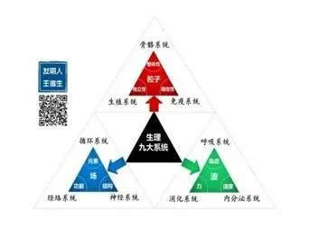 您一定要读读的文章:本体论新解构和应用:原稿第11页原稿插图或图示