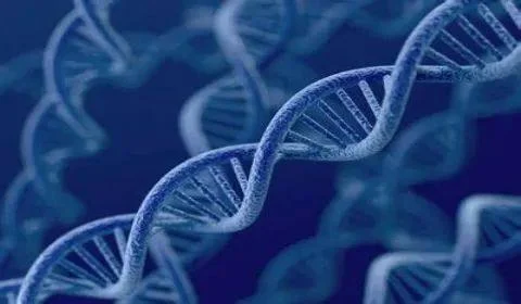 如何建造创造力生命的DNA?:原稿第22页原稿插图或图示