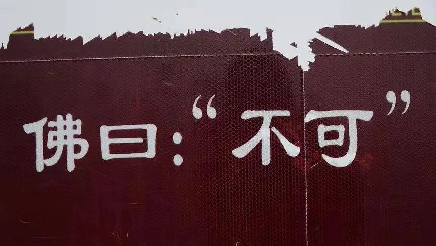 如何建造创造力生命的DNA?:原稿第29页原稿插图或图示