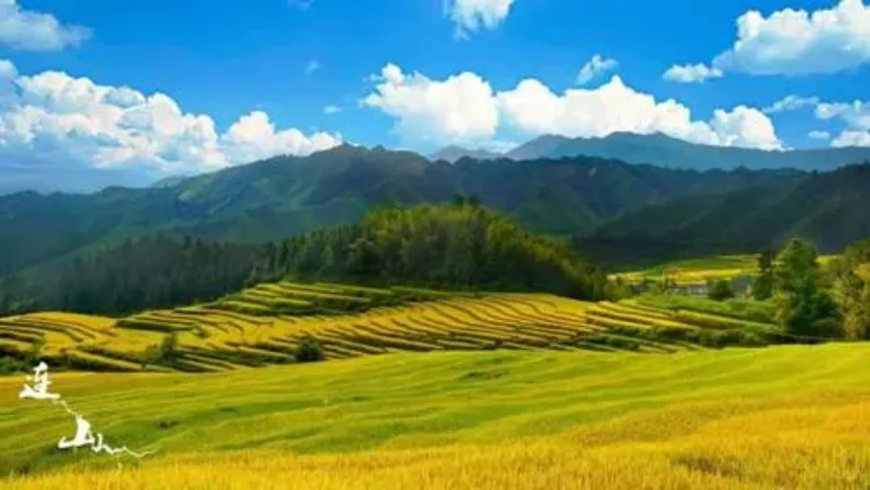 蚕丝之美,原稿第2页插图